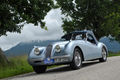 Edelweiss Classic Jaguar.jpg