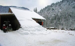 Hirschfütterung in Hintersee, Unterstand.jpg