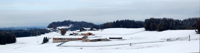 Datei:Reiterhof Porsche in Eugendorf-Neuhofen.JPG