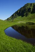 Twenger almsee 18387 2011-07-09.jpg