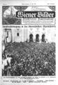 Volksabstimmung 1921 über den Anschluss an das Deutsche Reich Demonstration auf dem Domplatz.jpg