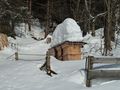 Bienenstöcke, Saalfelden 1.jpg