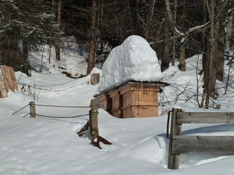 Datei:Bienenstöcke, Saalfelden 1.jpg