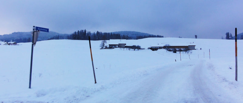 Datei:Blatthubweg.jpg