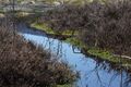Mandlinger moor 69717 2018-04-18.jpg