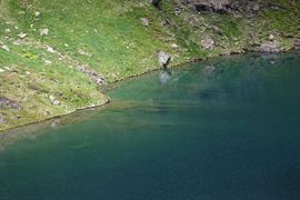 Schönalmsee, obere 29875 2016-07-10.jpg