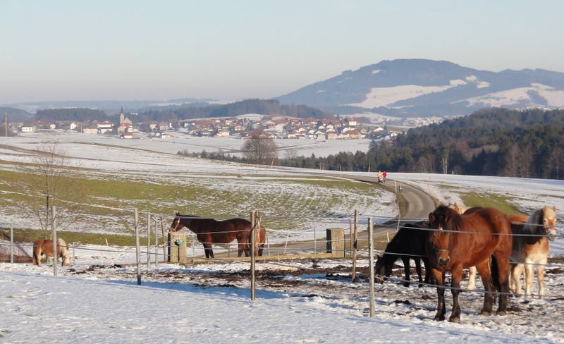 Datei:Schleedorf, süswestliche Ansicht.jpg