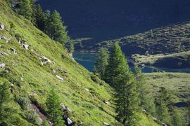 Tiefenbachsee 29865 2016-07-10.jpg