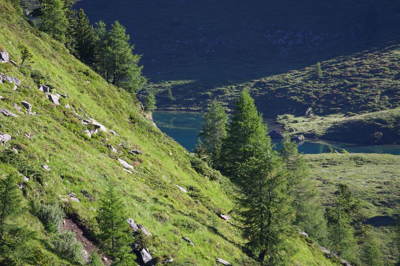 Datei:Tiefenbachsee 29865 2016-07-10.jpg