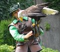 Vorschaubild der Version vom 11:00, 20. Jul. 2018