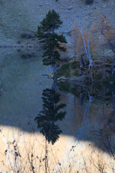 Datei:Untere landschitz0465.jpg