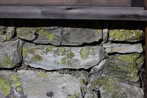 Kapelle wirpitsch 29809 2016-07-10.jpg
