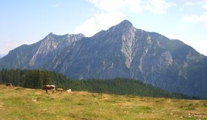 Postalm, Blick zum Rettenkogel.jpg