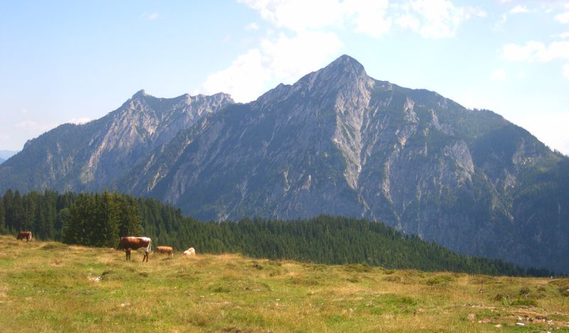 Datei:Postalm, Blick zum Rettenkogel.jpg