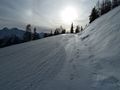 Wildkogelrodelbahn 4.jpg