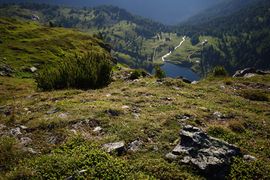 Wirpitschsee, untere 29964 2016-07-10.jpg