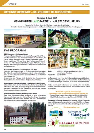 Bildungswerk Henndorf, Kulturaktivitäten 2017.jpg