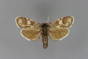 E-MK-17922a.jpg