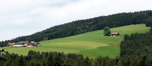 Hörandl.JPG