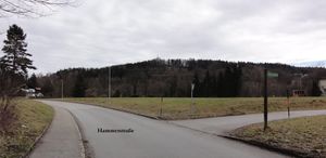 Hammerstraße (Oberalm).jpg