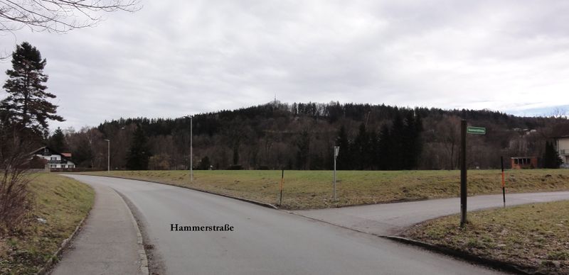 Datei:Hammerstraße (Oberalm).jpg