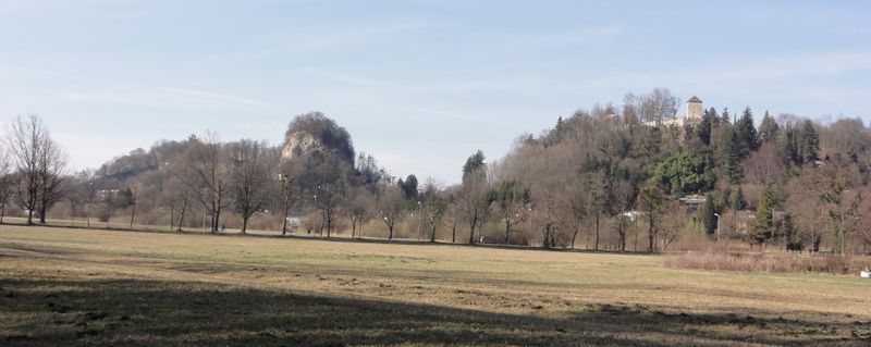 Datei:Leopoldskroner Allee.jpg