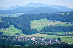 Neumarkt am Wallersee Breinberg Pfongau Sommerholz.jpg