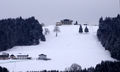 Schihang am Eugendorfer Berg.jpg