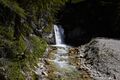 Tennfall-0156-2022-07-14.jpg