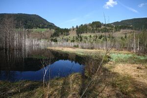 Mandlinger moor 69703 2018-04-18.jpg