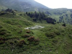 Twenger alm 18286 2003-07-01.jpg
