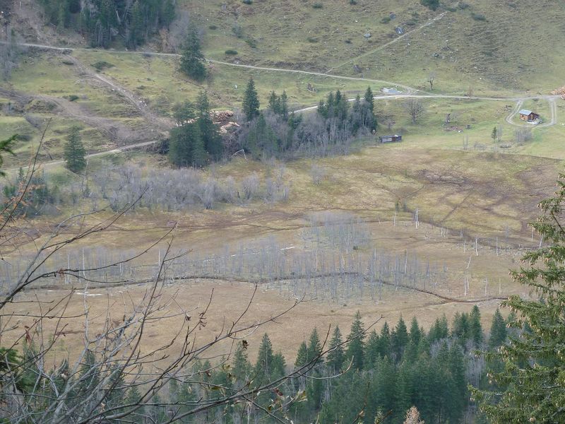 Datei:Ferleitental, Rotmoos 1.jpg