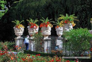 Rosengarten im Mirabellgarten 09.jpg