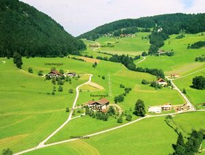 Unterberggut und Rauschergut im Wiestal Kopie.jpg