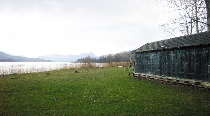Datei:Irrseeufer unterhalb des Fischhofs.jpg