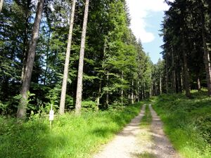 Kreuzwegstation am Güterweg um das Gut Pabenschwand.jpg
