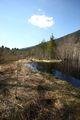 Mandlinger moor 69701 2018-04-18.jpg