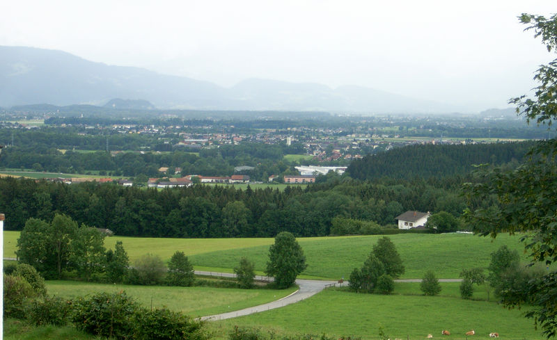 Datei:Ulrichshögl, Blick auf Wals.jpg