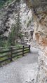 Gasteiner Höhenweg 20210709 27.jpg