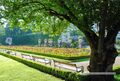 Rosengarten im Mirabellgarten 14.jpg