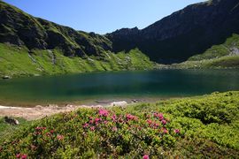 Twenger almsee 18336 2010-07-08.jpg
