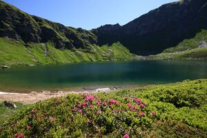 Twenger almsee 18336 2010-07-08.jpg