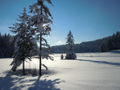 Vorschaubild der Version vom 22:53, 29. Jan. 2012