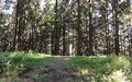 Haunsberggipfel.jpg