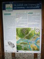 Infotafel an der Saalachmündung.jpg