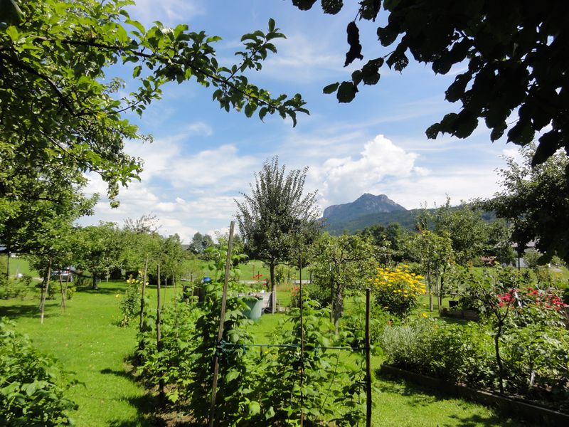Datei:Obstgartenausblick.jpg