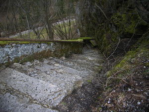 R0018942.jpg
