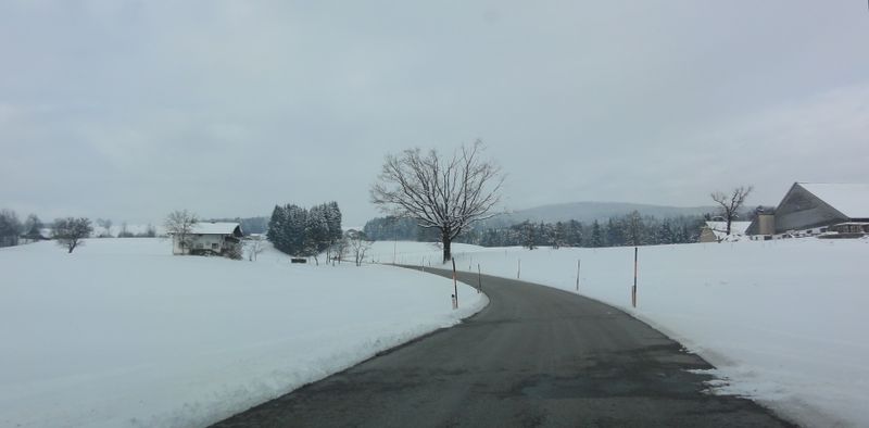 Datei:Thalgauberger Straße, beim Reisingergut.jpg