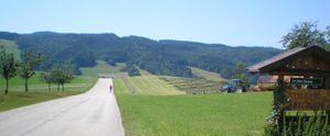 2007-08-02, um den Irrrsee 037.jpg