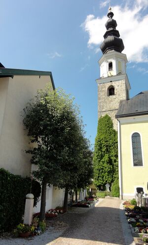 Die Lage des Euthanasie Mahnmals im Thalgauer Friedhof.JPG